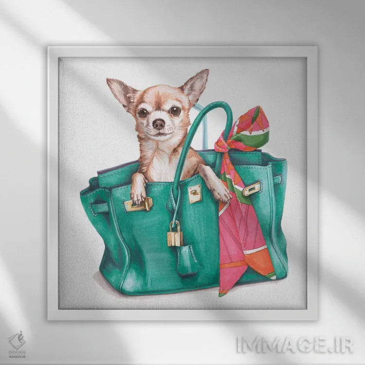 تابلو چیواوا جین در کیف برکین هرمس اثر الیزاوتا مولچانووا - نمای قابدار سفید
