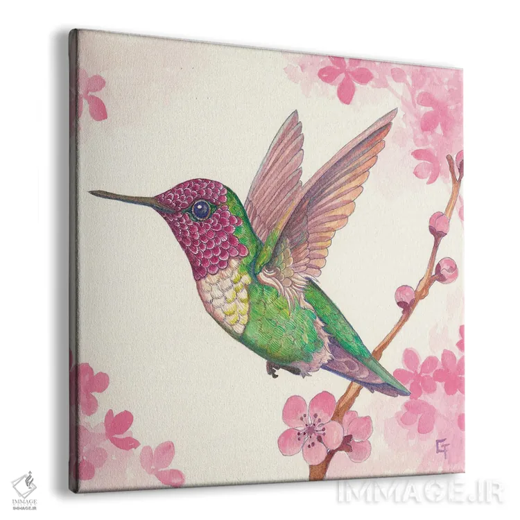 تابلو مرغ مگسخوار آنا اثر مایت فلای آرت اند ایلاستریشن (استودیو طراحی و تصویرگری) - نمای پرسپکتیو محصول