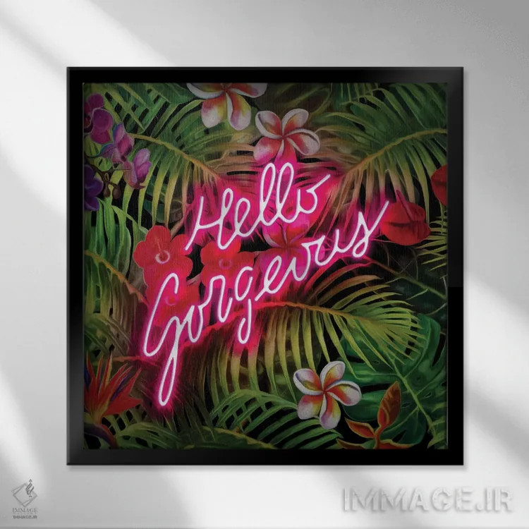 تابلو سلام خوشگل اثر فرانک آموروسو - نمای قابدار مشکی