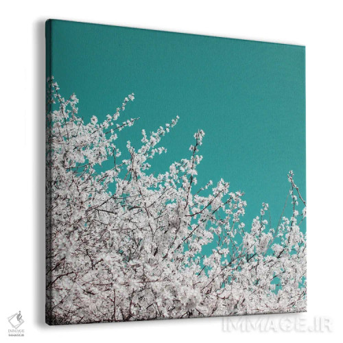 تابلو شکوفهٔ آلوچه روی آسمان فیروزهای اثر آلیسون فنل - نمای پرسپکتیو محصول