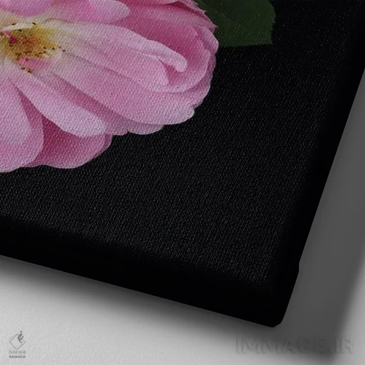 تابلو طرح رز انگلیسی اثر آلیسون فنل - نمای نزدیک بافت بوم