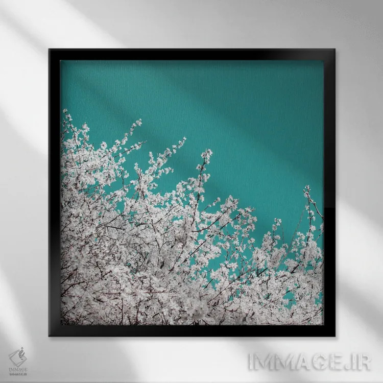 تابلو شکوفهٔ آلوچه روی آسمان فیروزهای اثر آلیسون فنل - نمای قابدار مشکی
