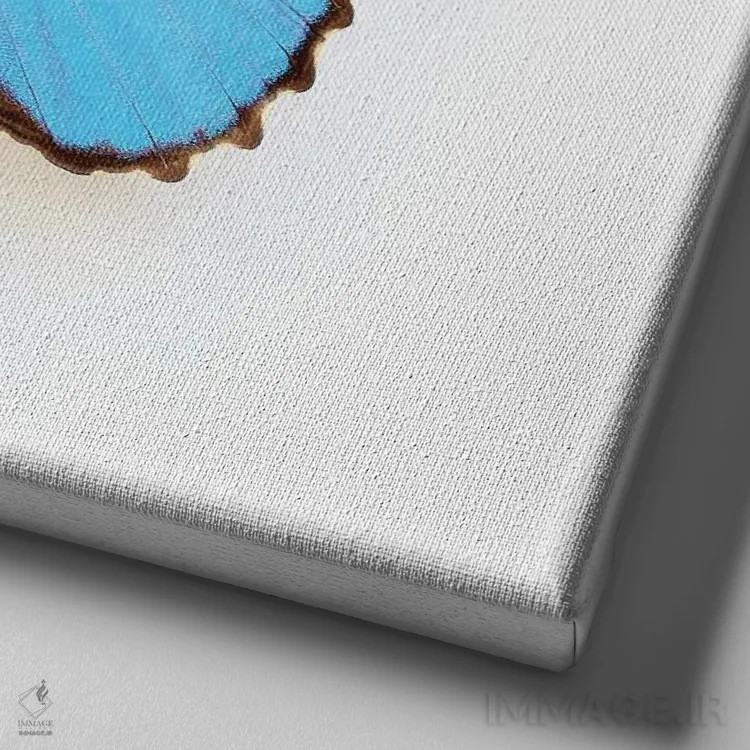 تابلو پروانهٔ مورفو آبی برقی اثر آلیسون فنل - نمای نزدیک بافت بوم