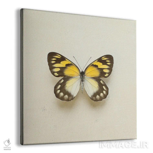 تابلو پروانهٔ طلایی دلیا اثر آلیسون فنل - نمای پرسپکتیو محصول