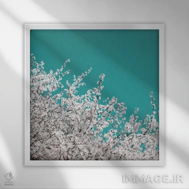 تابلو شکوفهٔ آلوچه روی آسمان فیروزهای اثر آلیسون فنل - نمای قابدار سفید