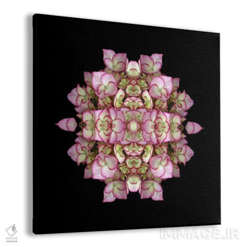 تابلو تقارن ادریسی اثر آلیسون فنل - نمای پرسپکتیو محصول