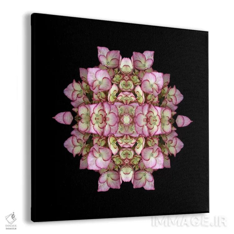 تابلو تقارن ادریسی اثر آلیسون فنل - نمای پرسپکتیو محصول