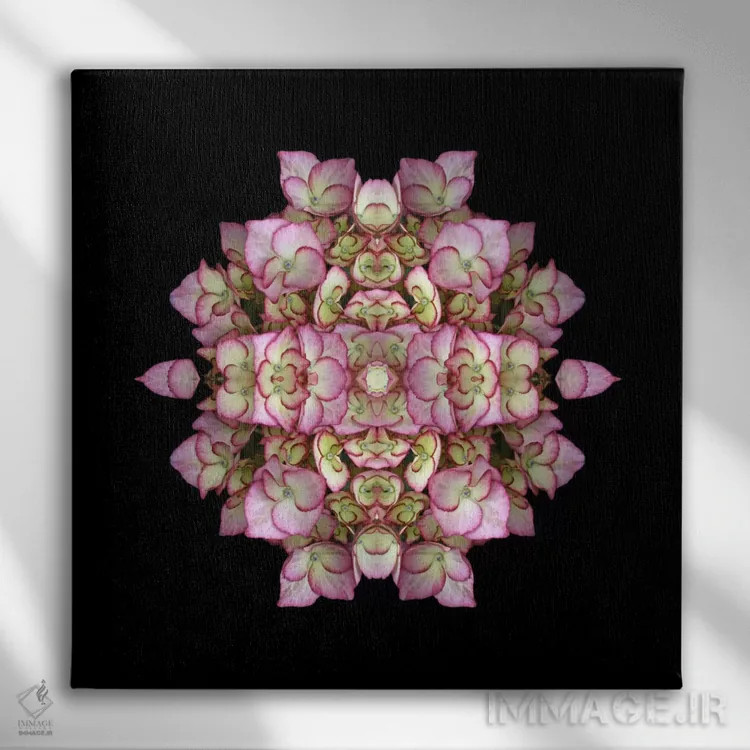 تابلو تقارن ادریسی اثر آلیسون فنل - نمای روبهرو روی دیوار