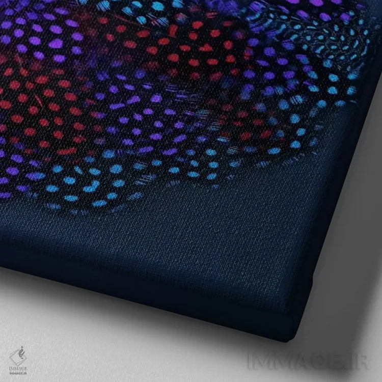 تابلو پرهای مرغمروارید رنگارنگ اثر آلیسون فنل - نمای نزدیک بافت بوم