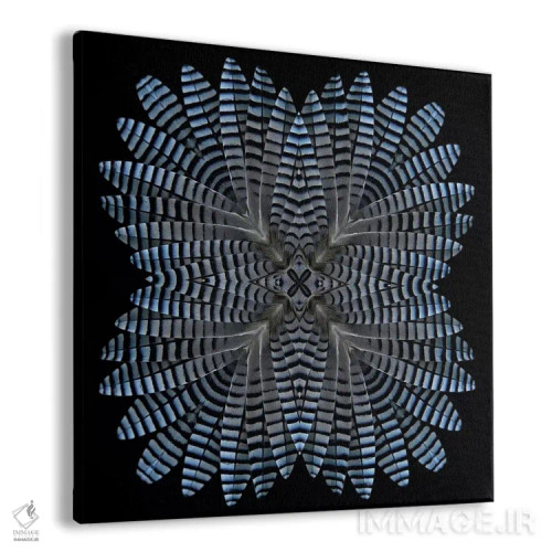 تابلو ستارهٔ پر زاغی (جِی) اثر آلیسون فنل - نمای پرسپکتیو محصول