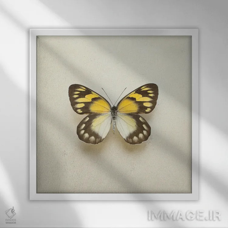 تابلو پروانهٔ طلایی دلیا اثر آلیسون فنل - نمای قابدار سفید