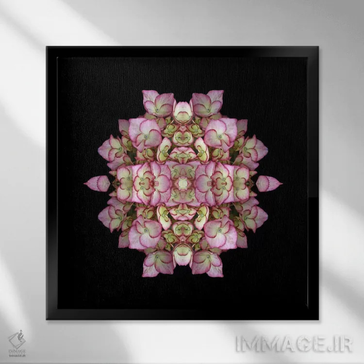 تابلو تقارن ادریسی اثر آلیسون فنل - نمای قابدار مشکی