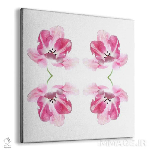 تابلو مجموعهٔ چهارتایی لالهٔ صورتی اثر آلیسون فنل - نمای پرسپکتیو محصول