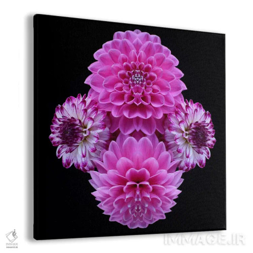 تابلو آینهٔ کوکب صورتی اثر آلیسون فنل - نمای پرسپکتیو محصول