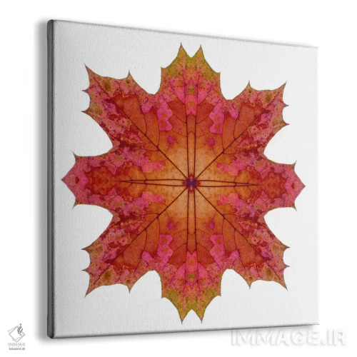 تابلو ستاره برگ افرا قرمز و صورتی ۱ اثر آلیسون فنل - نمای پرسپکتیو محصول