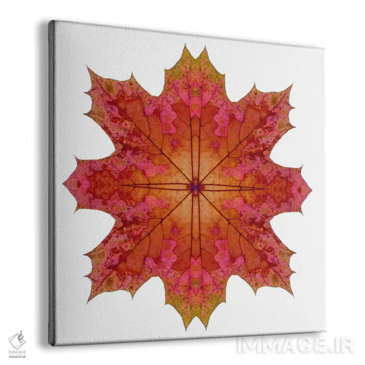 تابلو ستاره برگ افرا قرمز و صورتی ۱ اثر آلیسون فنل - نمای پرسپکتیو محصول