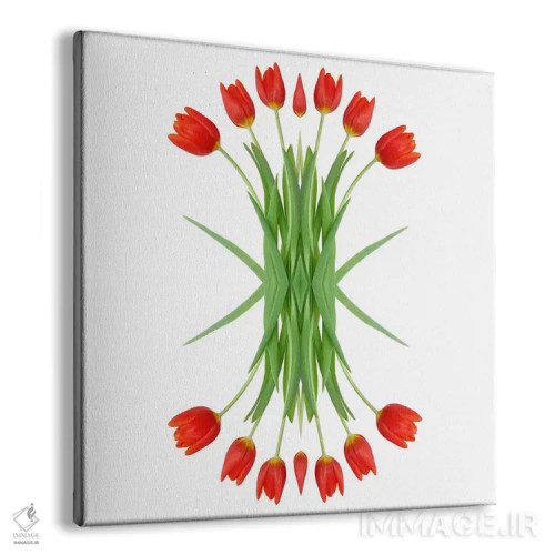 تابلو آینهٔ لالهٔ قرمز اثر آلیسون فنل - نمای پرسپکتیو محصول