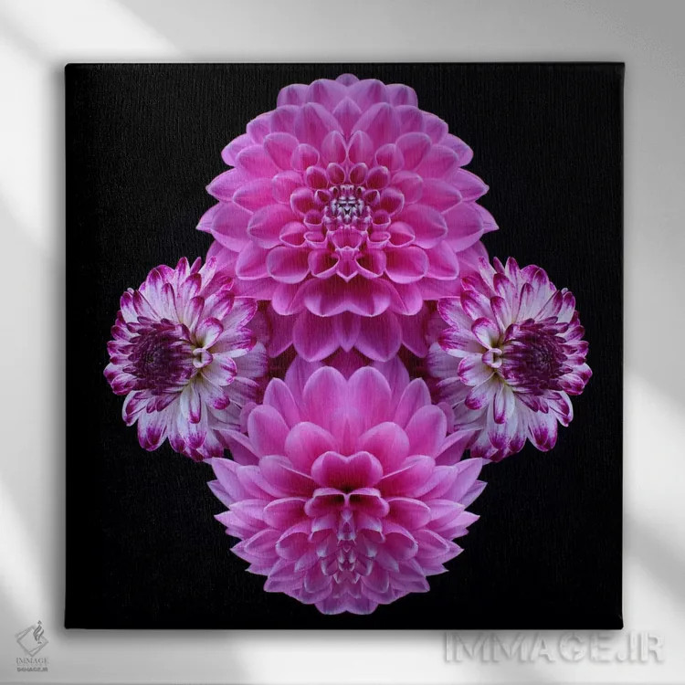 تابلو آینهٔ کوکب صورتی اثر آلیسون فنل - نمای روبهرو روی دیوار