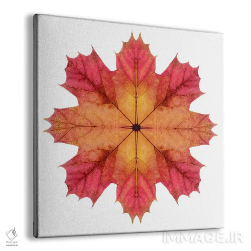 تابلو ستاره برگ افرا قرمز و صورتی ۲ اثر آلیسون فنل - نمای پرسپکتیو محصول