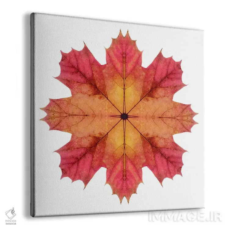 تابلو ستاره برگ افرا قرمز و صورتی ۲ اثر آلیسون فنل - نمای پرسپکتیو محصول