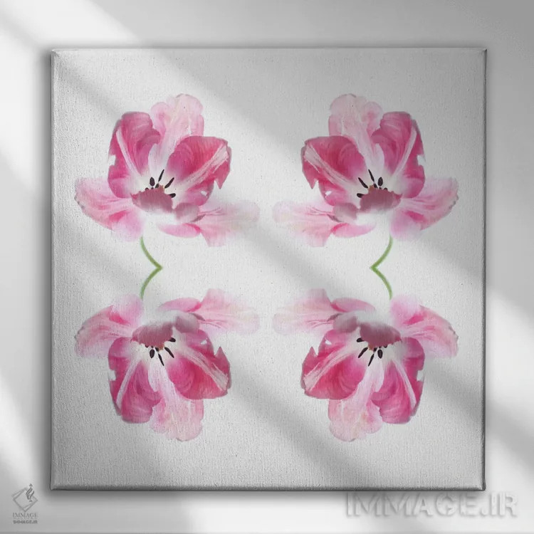 تابلو مجموعهٔ چهارتایی لالهٔ صورتی اثر آلیسون فنل - نمای روبهرو روی دیوار