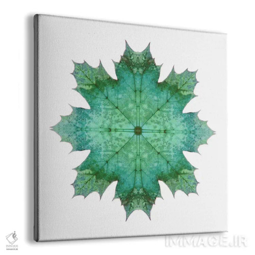 تابلو ستاره برگ افرا سبز آبی ۱ اثر آلیسون فنل - نمای پرسپکتیو محصول