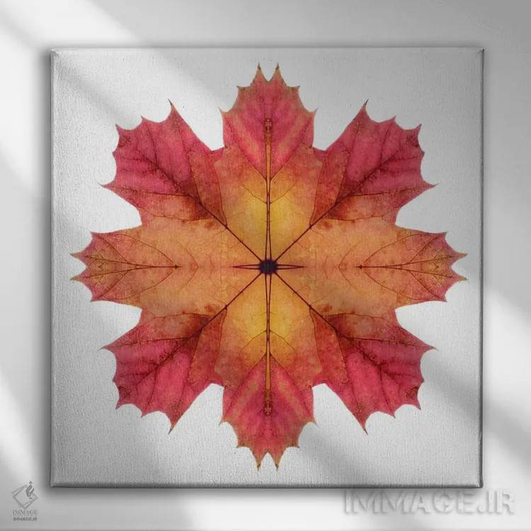 تابلو ستاره برگ افرا قرمز و صورتی ۲ اثر آلیسون فنل - نمای روبهرو روی دیوار