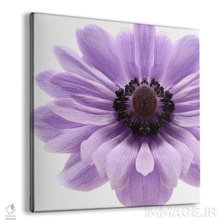 تابلو شقایق یاس بنفش کمرنگ اثر آلیسون فنل - نمای پرسپکتیو محصول