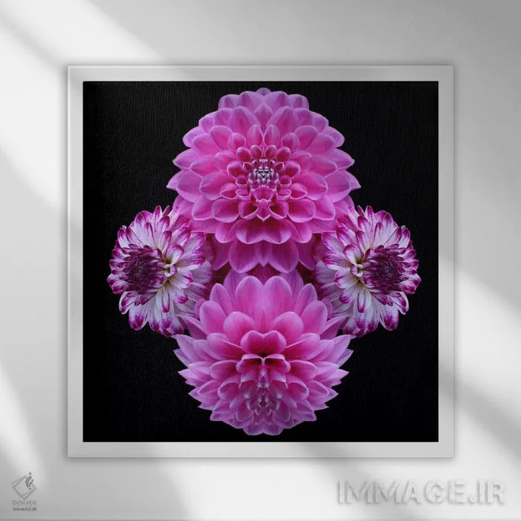 تابلو آینهٔ کوکب صورتی اثر آلیسون فنل - نمای قابدار سفید