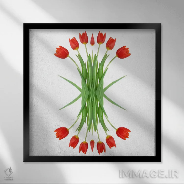 تابلو آینهٔ لالهٔ قرمز اثر آلیسون فنل - نمای قابدار مشکی