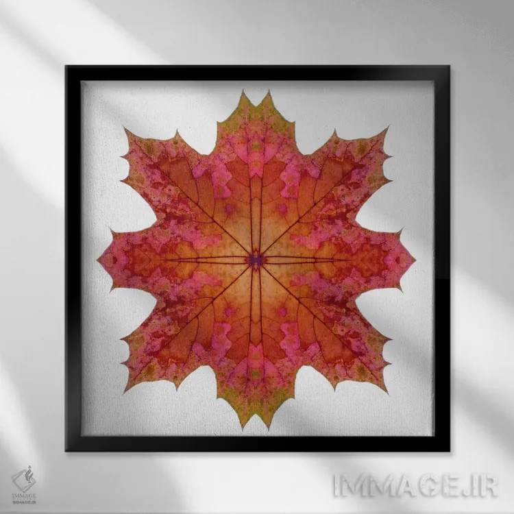 تابلو ستاره برگ افرا قرمز و صورتی ۱ اثر آلیسون فنل - نمای قابدار مشکی