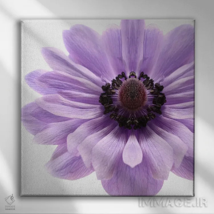 تابلو شقایق یاس بنفش کمرنگ اثر آلیسون فنل - نمای روبهرو روی دیوار