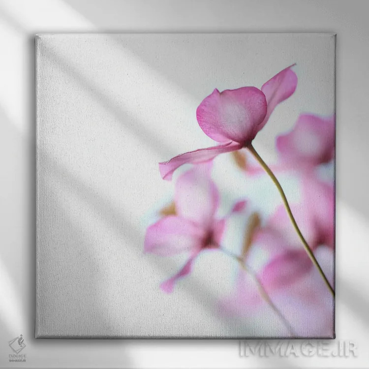 تابلو کلماتیس صورتی اثر آلیسون فنل - نمای روبهرو روی دیوار