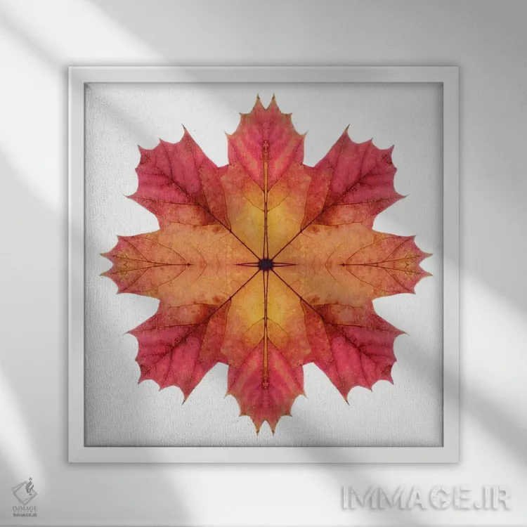 تابلو ستاره برگ افرا قرمز و صورتی ۲ اثر آلیسون فنل - نمای قابدار سفید