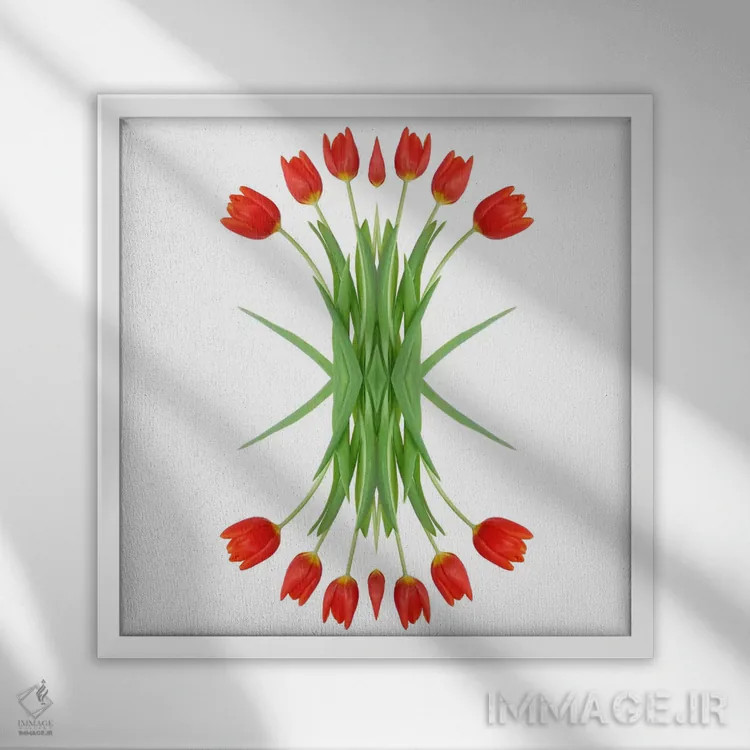 تابلو آینهٔ لالهٔ قرمز اثر آلیسون فنل - نمای قابدار سفید