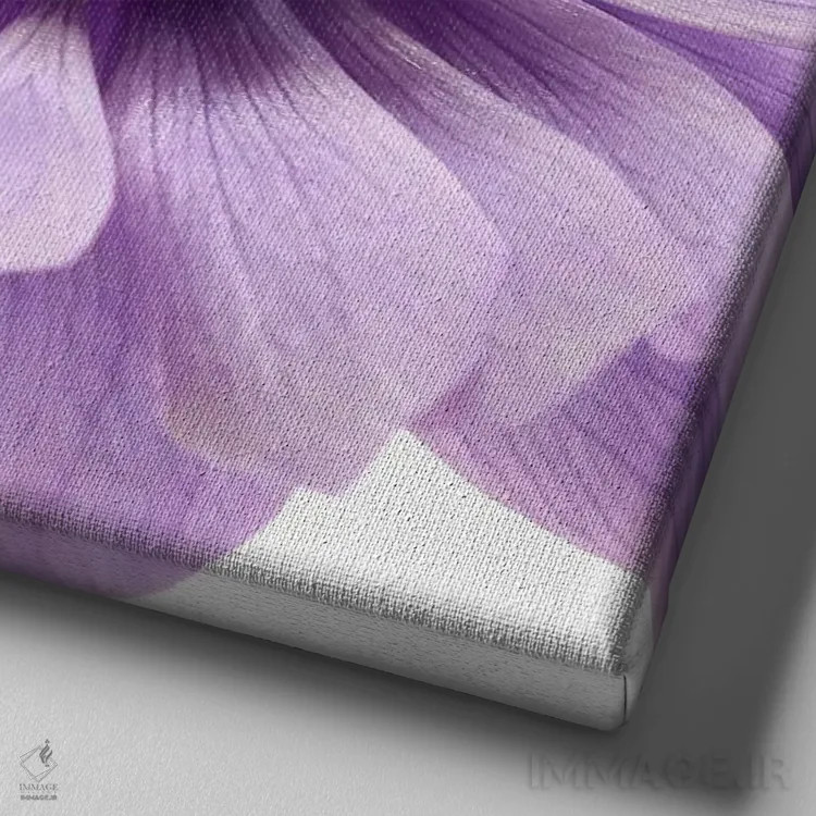 تابلو شقایق یاس بنفش کمرنگ اثر آلیسون فنل - نمای نزدیک بافت بوم