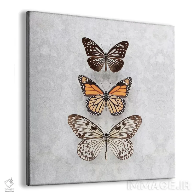 تابلو سه پروانهٔ خالدار اثر آلیسون فنل - نمای پرسپکتیو محصول