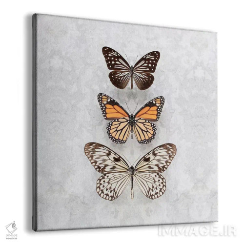 تابلو سه پروانهٔ خالدار اثر آلیسون فنل - نمای پرسپکتیو محصول