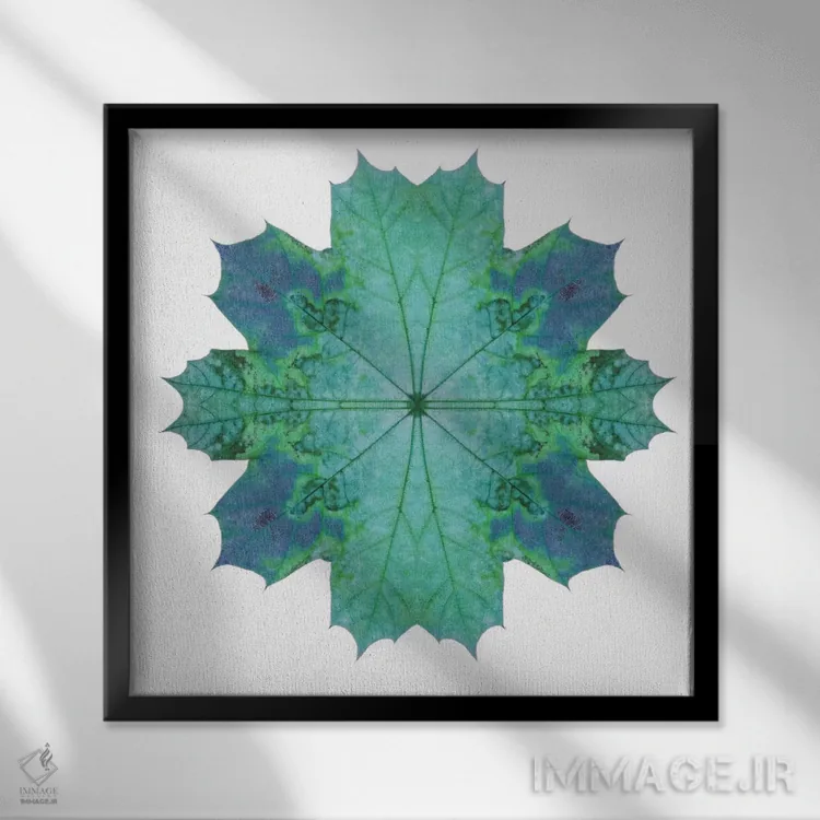 تابلو ستاره برگ افرا سبز آبی ۳ اثر آلیسون فنل - نمای قابدار مشکی