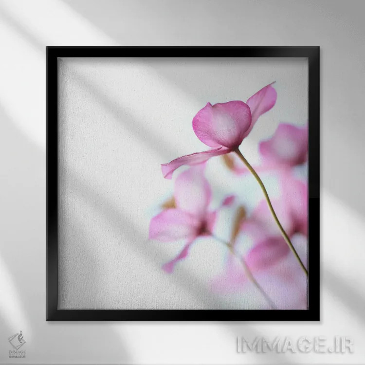 تابلو کلماتیس صورتی اثر آلیسون فنل - نمای قابدار مشکی