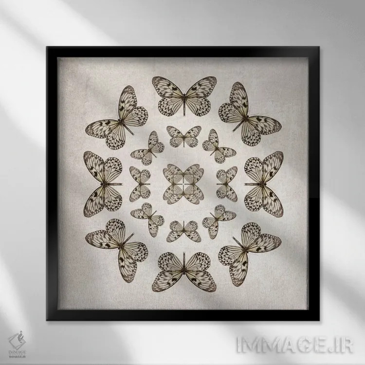 تابلو دایرههای پروانه "کاغذ برنجی" اثر آلیسون فنل - نمای قابدار مشکی