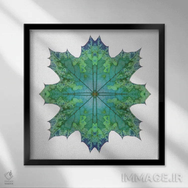 تابلو ستاره برگ افرا سبز آبی ۲ اثر آلیسون فنل - نمای قابدار مشکی