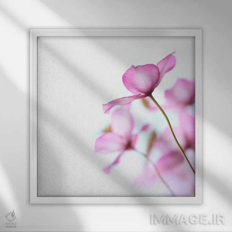 تابلو کلماتیس صورتی اثر آلیسون فنل - نمای قابدار سفید