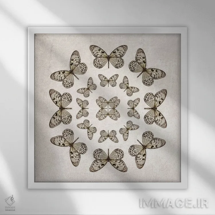 تابلو دایرههای پروانه "کاغذ برنجی" اثر آلیسون فنل - نمای قابدار سفید