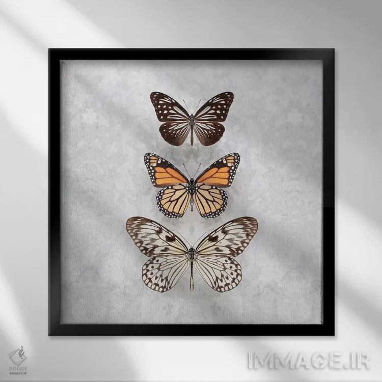 تابلو سه پروانهٔ خالدار اثر آلیسون فنل - نمای قابدار مشکی