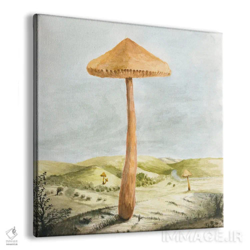 تابلو سرزمین قارچها اثر فلوران بُدار (هنرمند فرانسوی) - نمای پرسپکتیو محصول