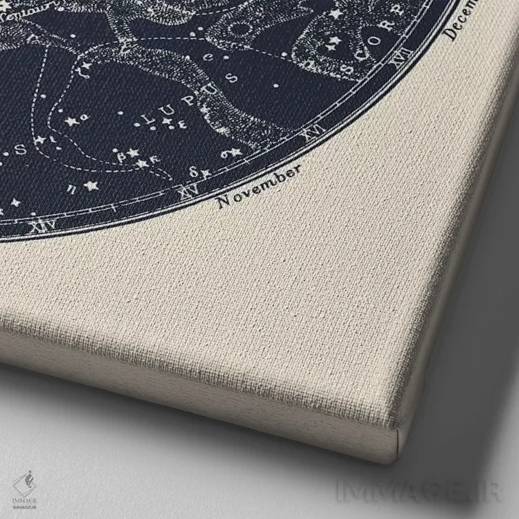 تابلو صورتهای فلکی جنوبی اثر فلوران بُدار (هنرمند فرانسوی) - نمای نزدیک بافت بوم