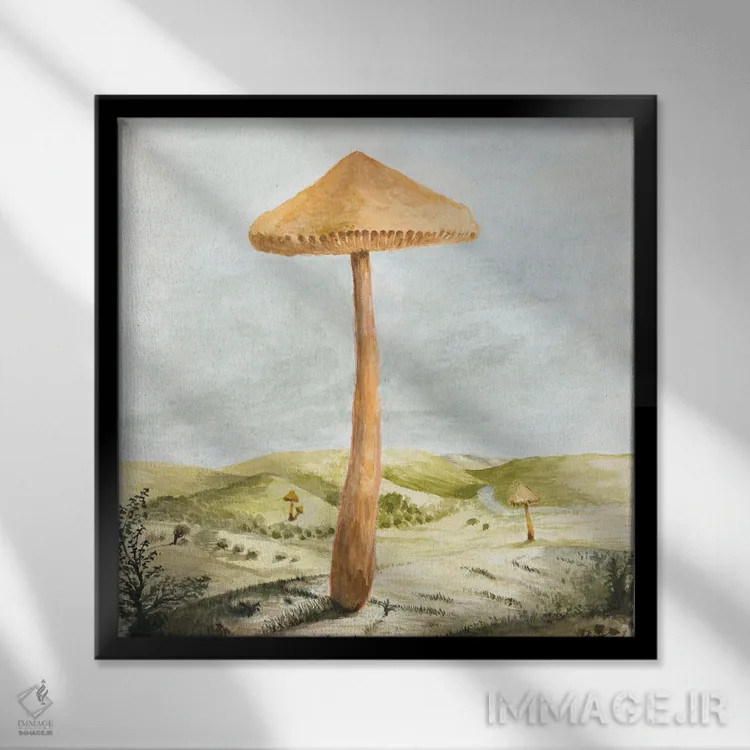 تابلو سرزمین قارچها اثر فلوران بُدار (هنرمند فرانسوی) - نمای قابدار مشکی