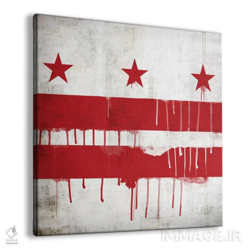تابلو پرچم شهر واشینگتن دیسی به سبک رنگ چکه اثر آیکانواس (شرکت چاپ هنری) - نمای پرسپکتیو محصول