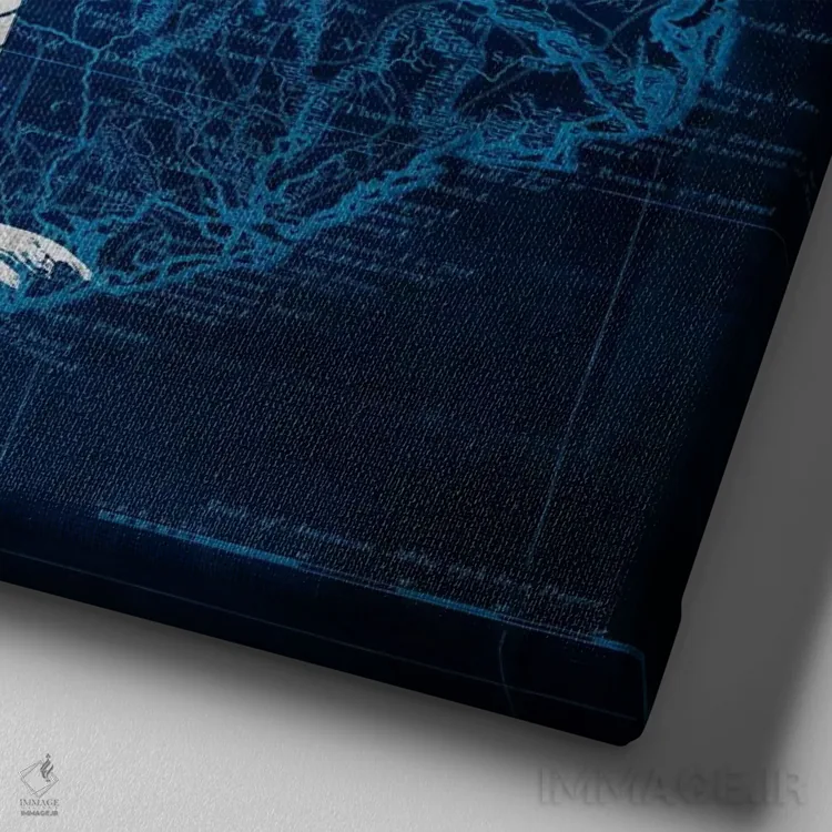 تابلو کارولینای جنوبی (نقشه قدیمی) اثر فایو بای فایو کالکتیو - نمای نزدیک بافت بوم